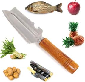 img 1 attached to Honbay Stainless Pineapple Peeler Available