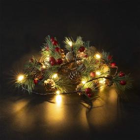 img 1 attached to 🎄 Funpeny Christmas Pinecones String Lights - 6.56Ft 20 LED Pine Needles with Red Berries Fall Light Garland, Indoor Outdoor Decor for Thanksgiving, Christmas, Autumn Themed Party