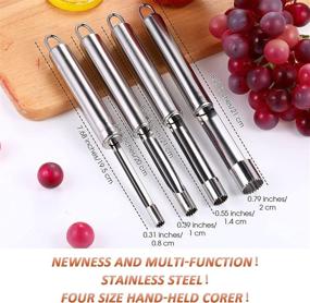 img 3 attached to Efficient Multi-Function Stainless Steel Fruit Corer and Pitter Set - 4 Piece Set for Home Kitchen, Perfect for Pears, Cherries, Jujubes, and Red Dates