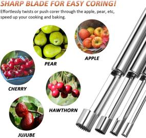 img 1 attached to Efficient Multi-Function Stainless Steel Fruit Corer and Pitter Set - 4 Piece Set for Home Kitchen, Perfect for Pears, Cherries, Jujubes, and Red Dates