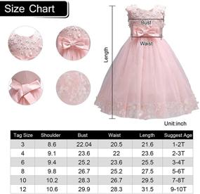 img 1 attached to 👗 Acecharming Baby Girls Dress: Elegant Flower Bridesmaid Lace Wedding Party Ball Gown for Girls 1-10 Years