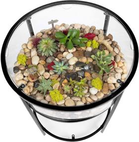 img 2 attached to 🌿 Black Iron Round Terrarium Display End Table - Reinforced Glass, 20-inch Diameter, 26.5-inch Height - Perfect Indoor Decor for Home or Office - DIY Garden for Ferns, Moss, Succulents - Ideal Holiday Wedding Gift