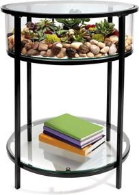 img 4 attached to 🌿 Black Iron Round Terrarium Display End Table - Reinforced Glass, 20-inch Diameter, 26.5-inch Height - Perfect Indoor Decor for Home or Office - DIY Garden for Ferns, Moss, Succulents - Ideal Holiday Wedding Gift