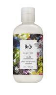 💎 revitalize and protect color with r+co gemstone color conditioner logo