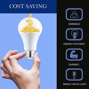 img 2 attached to 💡 Shining Bright: Laborate Lighting A19 Light Bulbs Illuminate with Unmatched Efficiency