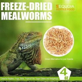 img 3 attached to Sequoia Mealworms Chickens Chameleon Hedgehogs