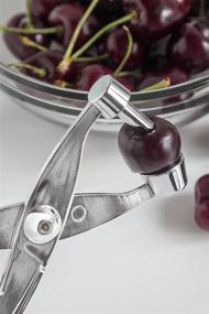 img 1 attached to 🍒 Zinc Alloy Cherry and Olive Pitter by Fox Run