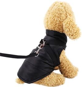 img 1 attached to 🐾 AMVEEDI Winter Coats for Dogs - Windproof Waterproof Cold Dog Jacket with Adjustable Straps for Warmth - Dog Athletic Vest (Black, XS)