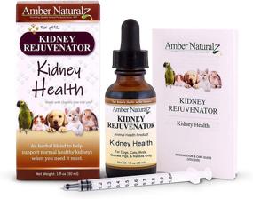 img 3 attached to 🐾 AMBER NATURALZ - Kidney REJUVENATOR - Pet Kidney Health Supplement - 1 fl. oz.