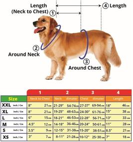img 3 attached to 🐶 Жилет для безопасности собак высокой видимости - водонепроницаемый отражающий жилет для охоты, видимость в день и ночью, выбор между желтым или оранжевым, защелкивающиеся замки, регулируемые размеры - XS, S, M, L, XL, XXL.