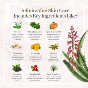 img 1 attached to 🌿 InfiniteAloe Complete Skin Care Everyday Hero - Organic Aloe Powered Face and Body Cream with 30 Botanical Extracts, Vitamins, and Minerals for Dry, Oily, and Combination Skin. Varying Packaging Design. Fragrance-Free - 8oz + 0.5oz