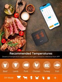 img 1 attached to 🌡️ Govee Wireless WiFi Meat Thermometer: Smart Grilling Digital Bluetooth Thermometer with 4 Probes for Remote Temperature Monitoring and Alerts for Grill, BBQ, Oven, Smoking (non-5G WiFi Support)