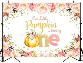 img 3 attached to Avezano Pumpkin Birthday Backdrop Background