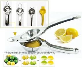 img 2 attached to 🍋 Efficient Stainless Steel Lemon Squeezer for Commercial Use - EcoJeannie LS0002