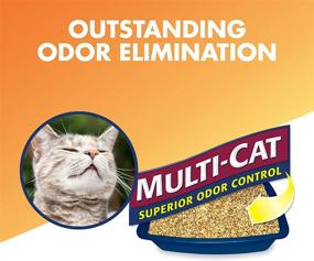 img 1 attached to ARM & HAMMER Naturals Cat Litter Review: Multi Cat, 18lb Bag