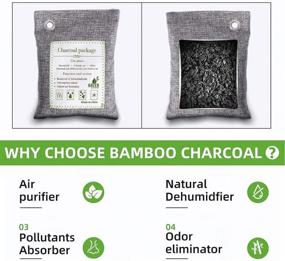 img 2 attached to 🌿 Nature Fresh Charcoal Bags: Large Bamboo Charcoal Air Purifying Bag - 6 Pack Odor Absorber for Home (Pet Friendly) with 6 Hooks - Activated Charcoal Air Purifying Bags for House, Car, Pets, Office, Closet, Basement (200g x 6)