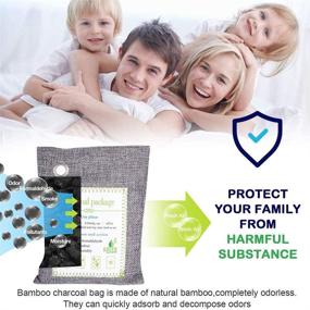 img 1 attached to 🌿 Nature Fresh Charcoal Bags: Large Bamboo Charcoal Air Purifying Bag - 6 Pack Odor Absorber for Home (Pet Friendly) with 6 Hooks - Activated Charcoal Air Purifying Bags for House, Car, Pets, Office, Closet, Basement (200g x 6)