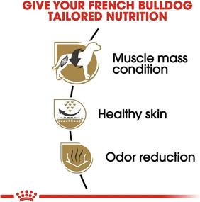 img 2 attached to 🐶 Optimal Nutrition for Adult French Bulldogs: Royal Canin Breed Specific Formula