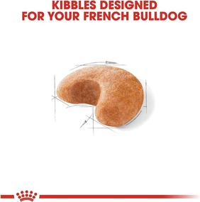 img 3 attached to 🐶 Optimal Nutrition for Adult French Bulldogs: Royal Canin Breed Specific Formula