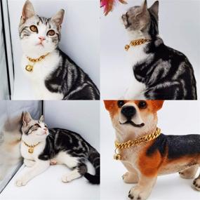 img 3 attached to 🐱 Premium 18K Gold Cat Dog Collar: Durable Stainless Steel Kitten Choker Curb Chew Proof Cuban Link Chain with Bell - 1/2 inch Width