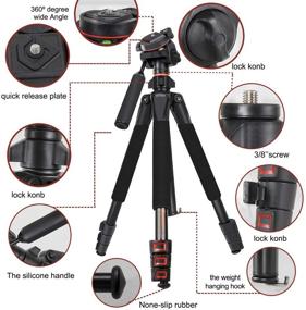 img 1 attached to BESNfoto DSLR SLR Камера штатив - Легкий алюминиевый штатив для путешествий с сумкой - 60 дюймов, грузоподъемность 5 кг / 11 фунтов - головка штатива с поворотом на 360 градусов - В комплекте крепление для мобильного телефона - Модель BXS2002.