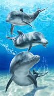 🏖️ bahia collection dohler baron bay dolphins brazilian beach towel - velour, 30x60 inches logo