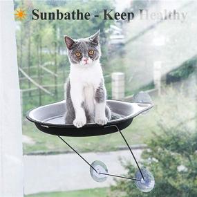 img 1 attached to 🐱 Premium Cat Window Perch: Sturdy Window Mounted Cat Bed with 4 Heavy Duty Suction Cups, Holds up to 33 lbs