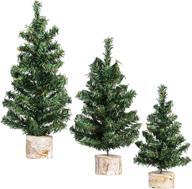 🎄 winlyn 3 pack mini canadian pine trees: festive artificial miniature christmas trees for tabletop decor and centerpiece displays logo