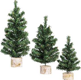 img 4 attached to 🎄 Winlyn 3 Pack Mini Canadian Pine Trees: Festive Artificial Miniature Christmas Trees for Tabletop Decor and Centerpiece Displays