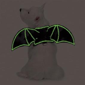 img 1 attached to 🦇 Zack &amp; Zoey Dog Harness with Glow-in-The-Dark Bat Wings