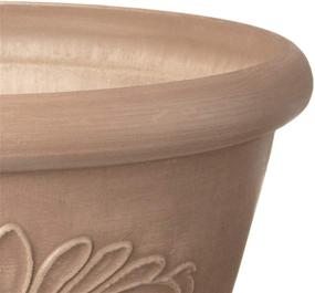 img 1 attached to Arcadia Garden Products TA30TP 12X5 Taupe - Аркадия Гарден Продуктс ТА30ТП 12X5 Топаз