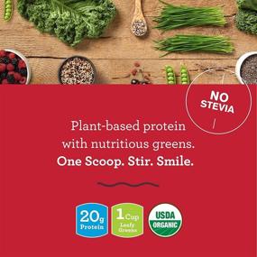 img 2 attached to Amazing Grass Vegan Protein & Kale Powder: Organic 20g Protein + 1 Cup Leafy Greens, Mixed Berry Flavor, 15 Servings