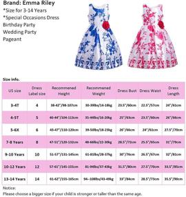 img 2 attached to 👗 Stunning Sleeveless Pleated Princess Dresses for Girls: Emma Riley Collection