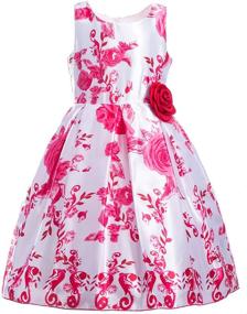 img 4 attached to 👗 Stunning Sleeveless Pleated Princess Dresses for Girls: Emma Riley Collection