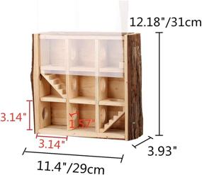 img 3 attached to 🏠 Dwarf Hamster Houses and Hideouts: Natural Living Climb System, Wooden Maze, and Activity Toys for Mouse and Hamster