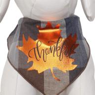 🦃 stylish thanksgiving dog bandanas for medium to large sized dogs - 100% cotton логотип