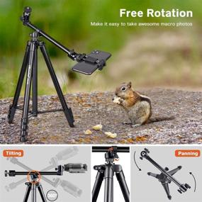img 2 attached to UBeesize 50-inch Phone Tripod Stand with Extended Arm - Portable Horizontal Tripod for Video Recording, Live Streaming, and Photography with 360° Adjustable Ball Head
