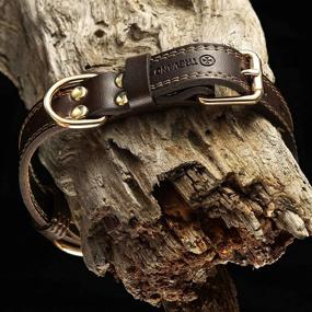 img 1 attached to 🐶 TREVANO Premium Leather Dog Collar with Sturdy Alloy Buckle and Dual D Rings