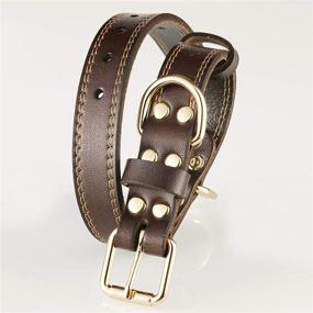 img 4 attached to 🐶 TREVANO Premium Leather Dog Collar with Sturdy Alloy Buckle and Dual D Rings