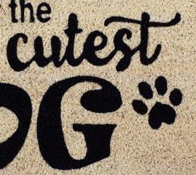 img 3 attached to 🐶 DII Коллекция печатей для домашних животных, натуральный ковер из кокосовых волокон, 18x30, очаровательный дизайн самой милой собаки в мире.