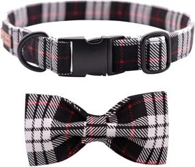 img 2 attached to 🦁 Lionet Paws Soft Cute Bowtie Dog Collar with Metal Buckle: Stylish and Adjustable Collar with Bowtie for Dogs and Cats - Perfect Gift for Girls and Boys