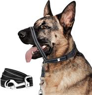 🐶 ultimate dog head collar with leash: stop pulling & train your dog effortlessly logo