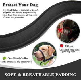 img 1 attached to 🐶 Ultimate Dog Head Collar with Leash: Stop Pulling & Train Your Dog Effortlessly