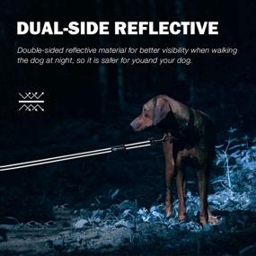 img 2 attached to 🐾 PHOEPET Reflective Step-in Dog Harness and Leash Set - Adjustable Dog Vest Harness, Soft Pet Walking Jacket with 2 Metal Leash Hooks for Dog and Cat