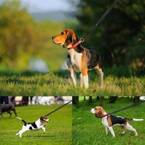 img 1 attached to 🐾 PHOEPET Reflective Step-in Dog Harness and Leash Set - Adjustable Dog Vest Harness, Soft Pet Walking Jacket with 2 Metal Leash Hooks for Dog and Cat