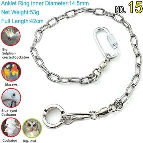 img 3 attached to 🦜 ebamaz Pet Bird Leash - Stainless Steel Parrot Foot Chain Anklet Ring | Model 15, 14.5mm