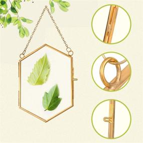 img 3 attached to GILASSY Wall Hanging Glass Frame for Pressed Flowers - Small Size, Easy to Open, Gold Floating Flower Press Frames: Ideal for Dried Flowers and Plant Specimen Display