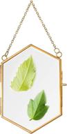 gilassy wall hanging glass frame for pressed flowers - small size, easy to open, gold floating flower press frames: ideal for dried flowers and plant specimen display logo