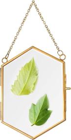 img 4 attached to GILASSY Wall Hanging Glass Frame for Pressed Flowers - Small Size, Easy to Open, Gold Floating Flower Press Frames: Ideal for Dried Flowers and Plant Specimen Display