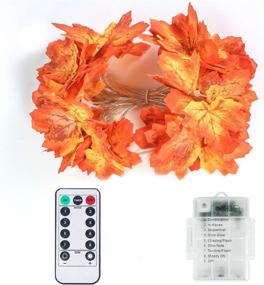 img 1 attached to 🍁 OMGAI Fall Maple Leaf String Lights - Remote Control Timer, Waterproof Thanksgiving Decorations - Battery Powered Lighted Garland for Holiday Party - Indoor/Outdoor (40 LED)